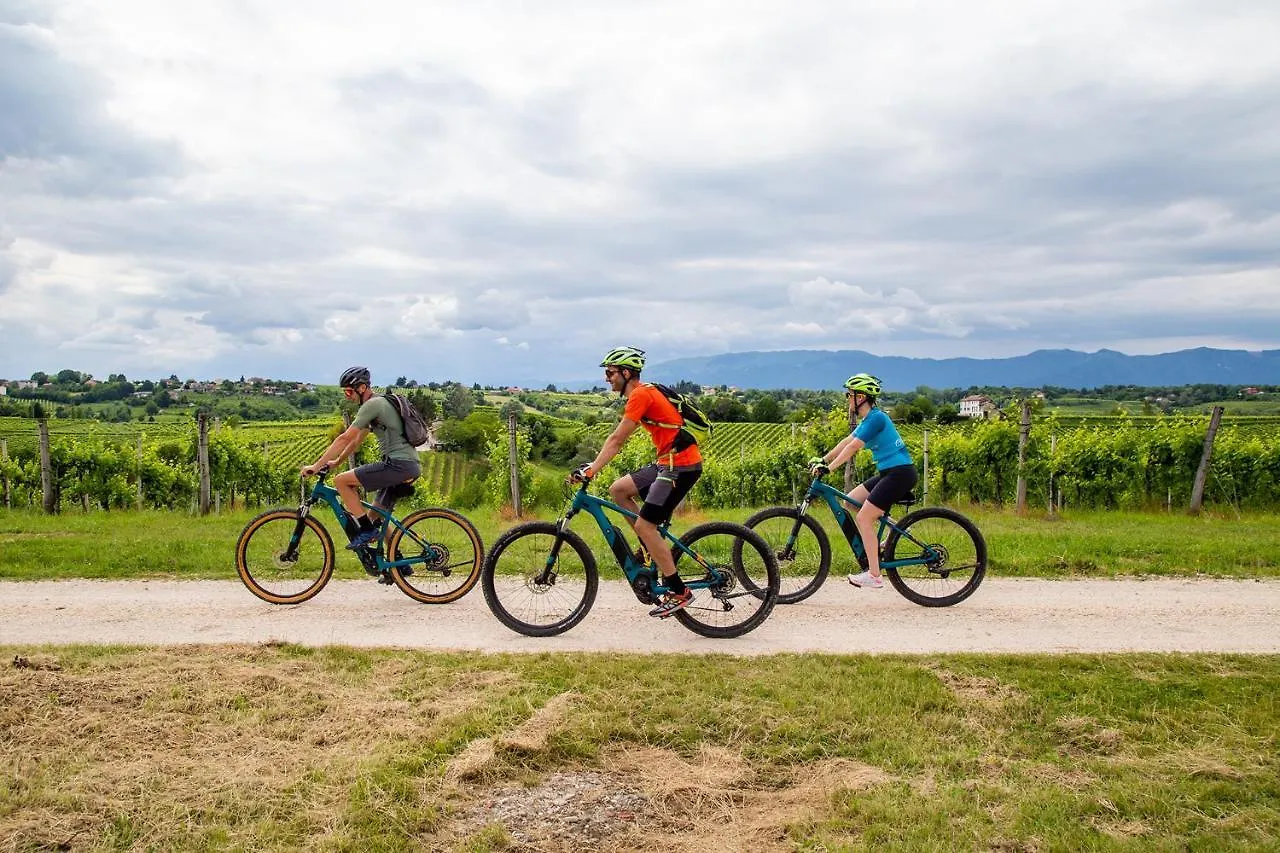 Gospodarstwo agroturystyczne Agriturismo Vidalli Colvidor Włochy