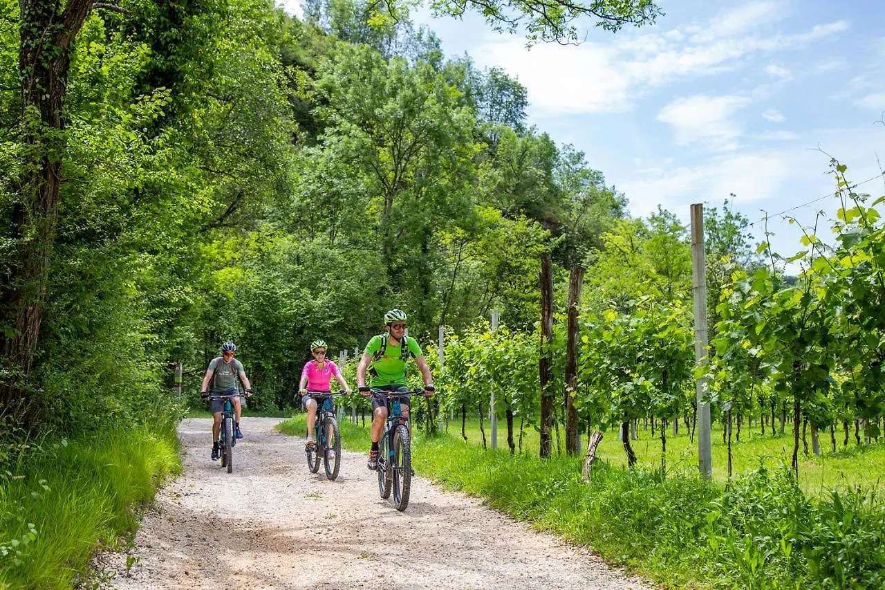 Gospodarstwo agroturystyczne Agriturismo Vidalli Colvidor